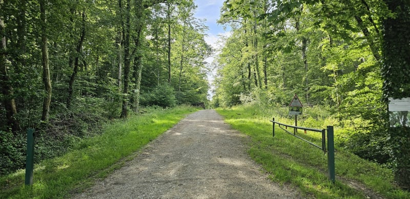 Balade autour du lac depuis le camping à Contrexéville - Contrexéville