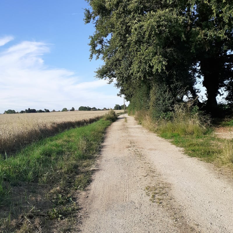 Découverte de la flore et faune dans la campagne Melloise - Périgné