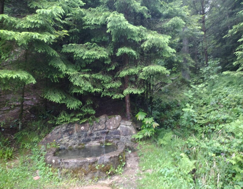 Tour du Kemberg - Saint-Dié-des-Vosges