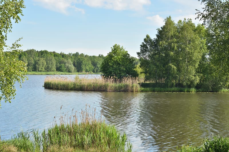 Paprocany - malownicza trasa na spacer czy rower - Tychy
