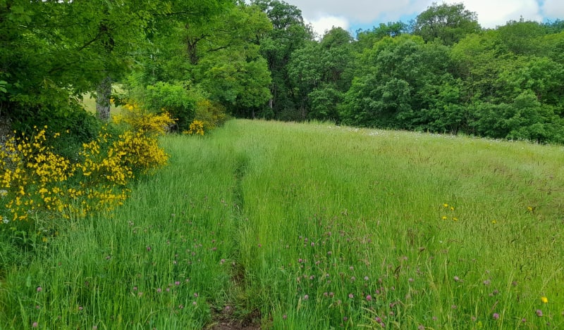 Le Mont Seigne via le domaine Les Landes - Saint-Beauzély