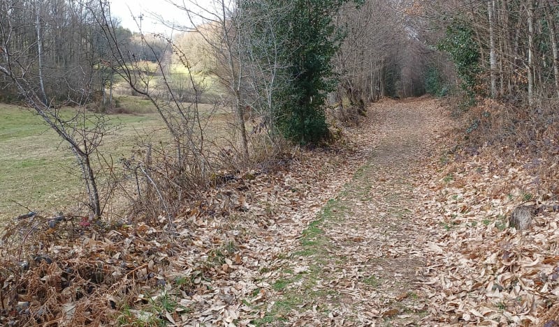 Aangename wandeling vanaf Moulin du Teil - Le Rouget-Pers