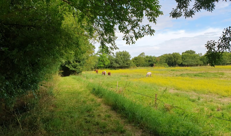 Saint Christophe - Les Grandes Chaumes - Saint-Christophe