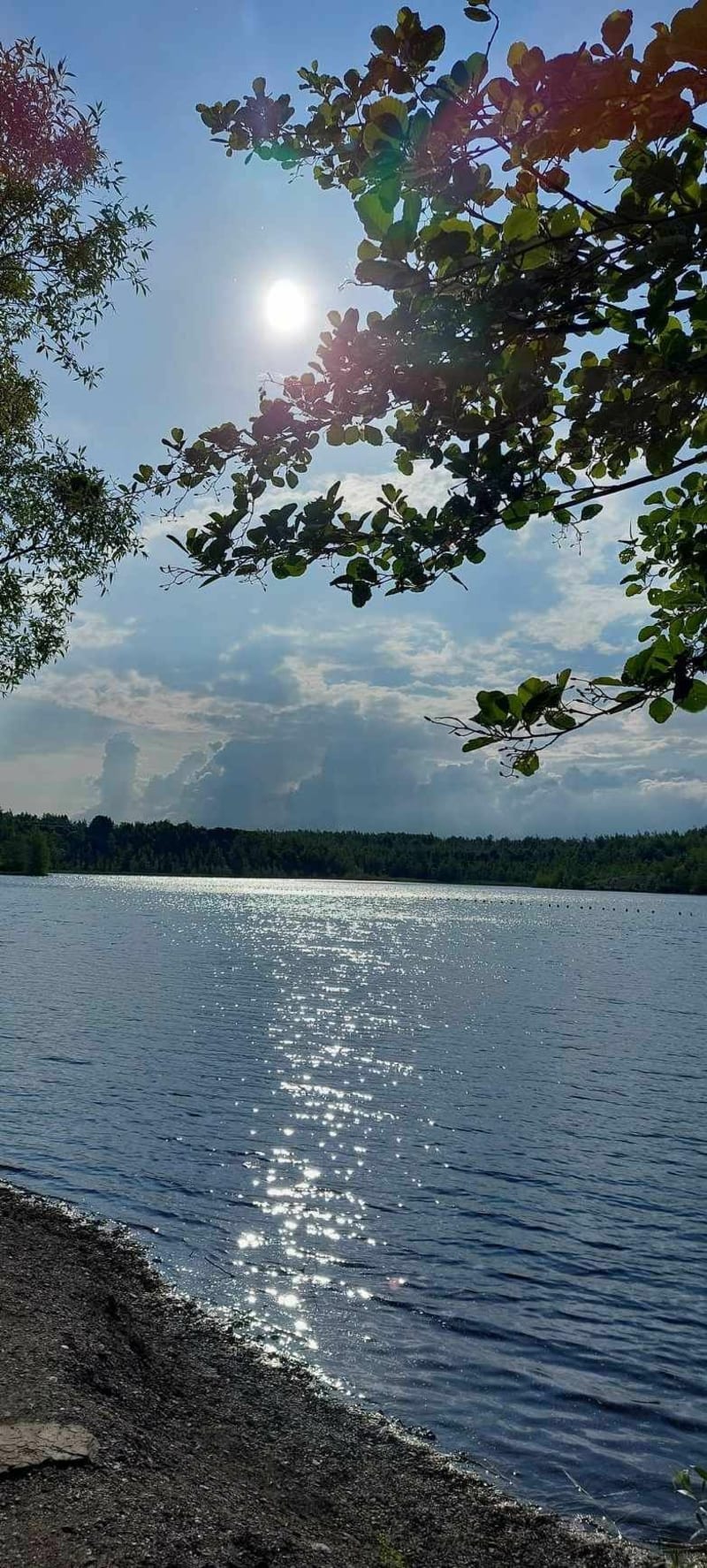 Tour du Lac du terril des Argales - Pecquencourt