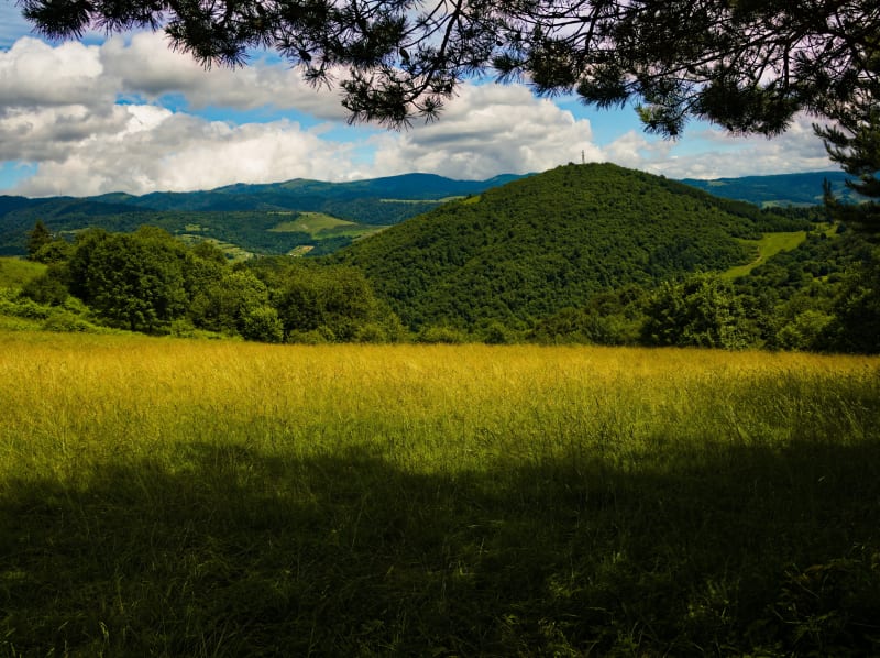 Szczyt Góra Jarmuta – jak zdobyć go ze Szczawnicy? - Szczawnica