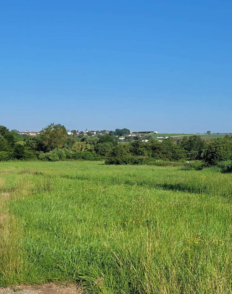 Balade en campagne depuis Ceintrey - Ceintrey
