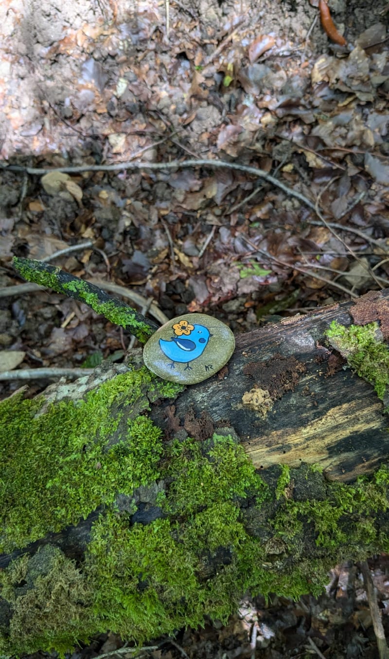 En forêt depuis le Val d'Ajol - Le Val-d'Ajol