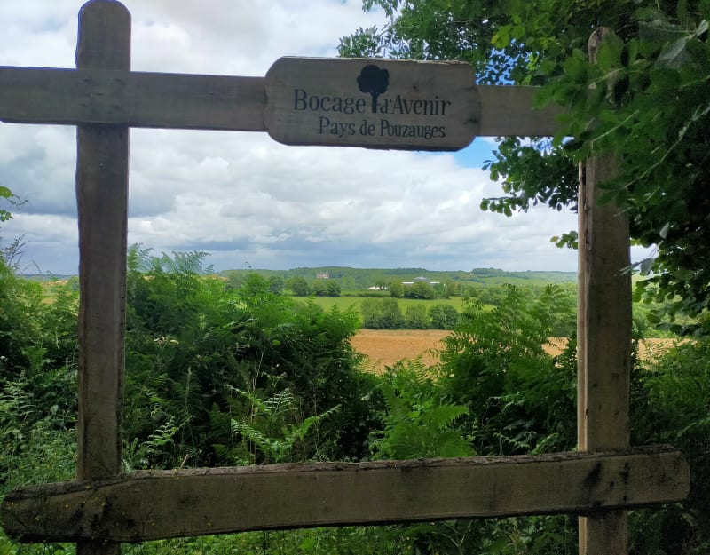 La Pommeraie sur Sèvre. Les coteaux - Sèvremont