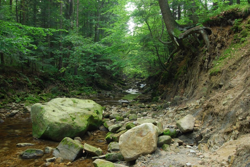 Magurski Park Narodowy i Olchowiec — odkryj skarby Beskidu Niskiego - Olchowiec