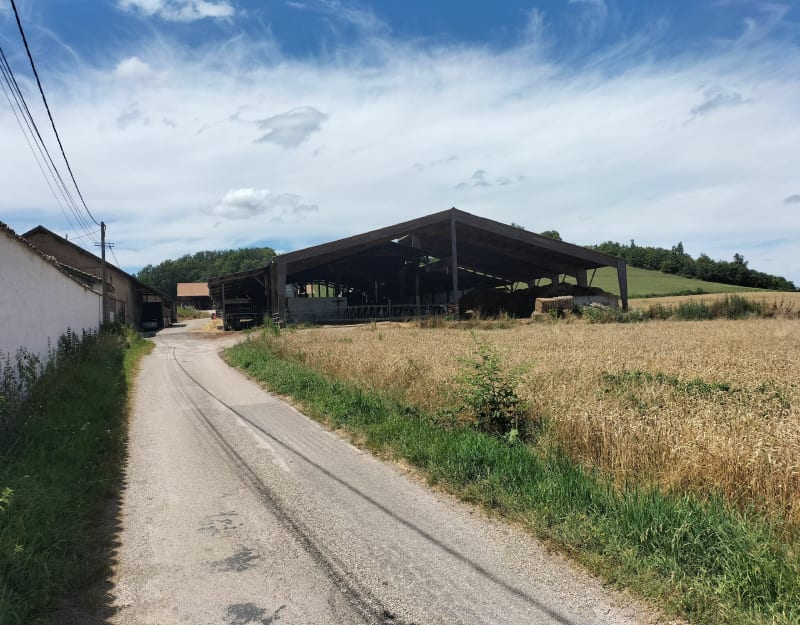 Balade Chozeau Chamagnieu Panossas - Chozeau