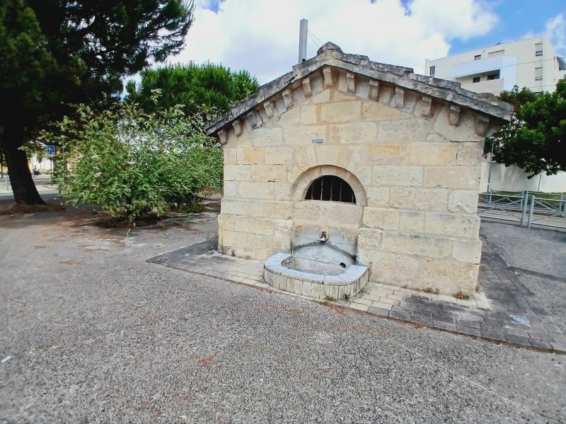 Balade au Lac Vert - Bordeaux