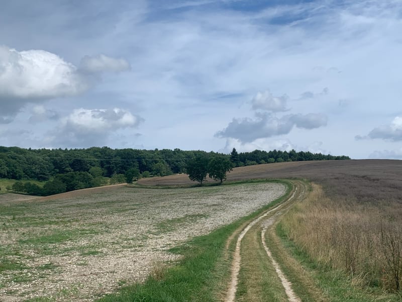 Grande boucle autour de Perigueux - Périgueux