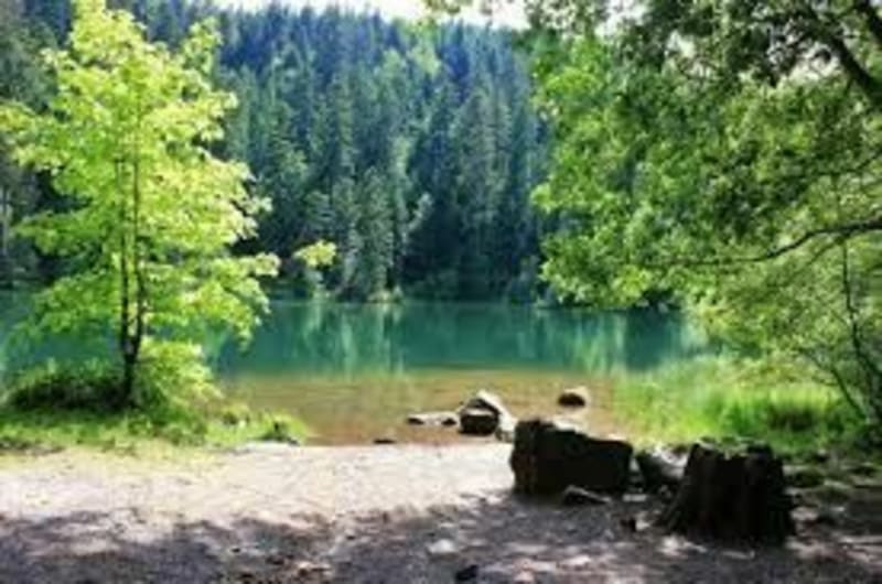 Lac de la Maix - parcours facile - Luvigny