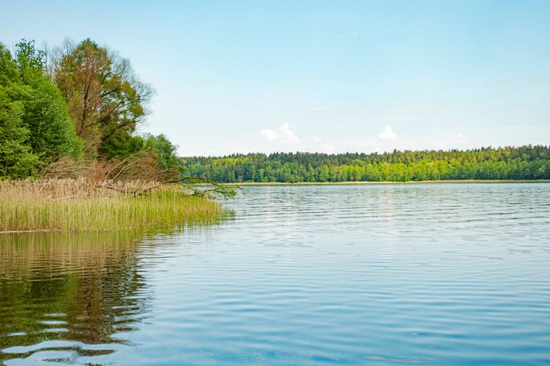 Jezioro Pamiątkowskie — spokój i relaks na Pojezierzu Poznańskim - Pamiątkowo