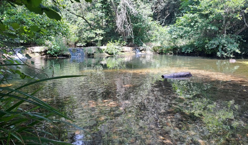 Fraîcheur dans le parc de la Brague - Biot