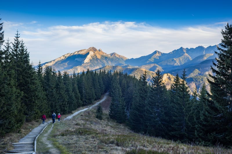 Trasa z Łysej Polany na Gęsią Szyję: spokojny spacer przez Tatry - Bukowina Tatrzańska