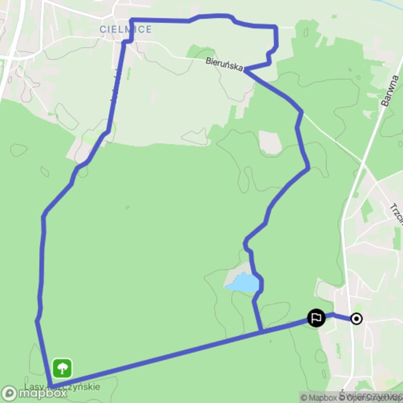 Ścieżka przez las z poziomym terenem i niewielkimi wzniesieniami - spacer od Świerczyniec (11,9 km) o średniej trudności - Świerczyniec