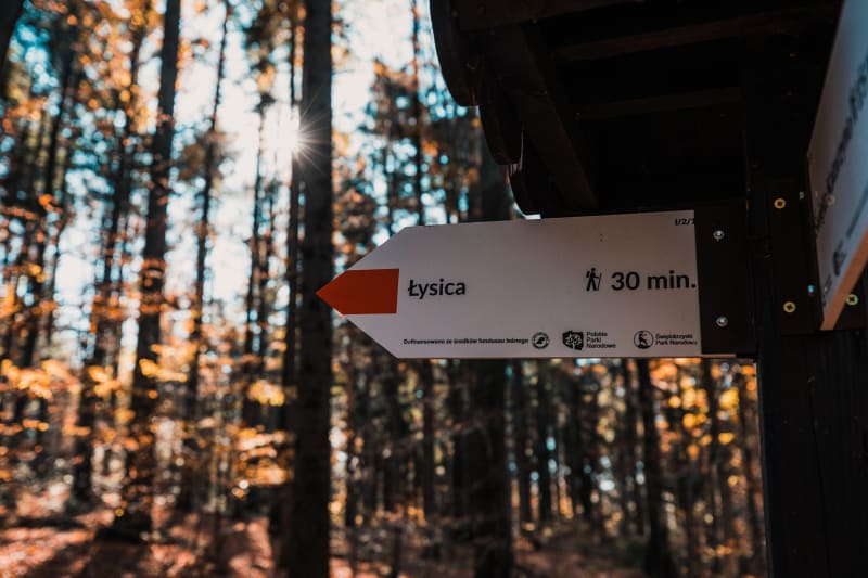 Łysica – ozdoba Gór Świętokrzyskich - Kakonin