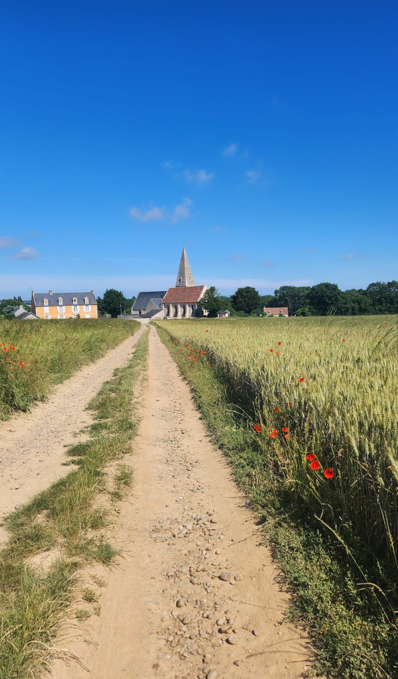 Au fil de l'Odon revisitée - Baron-sur-Odon