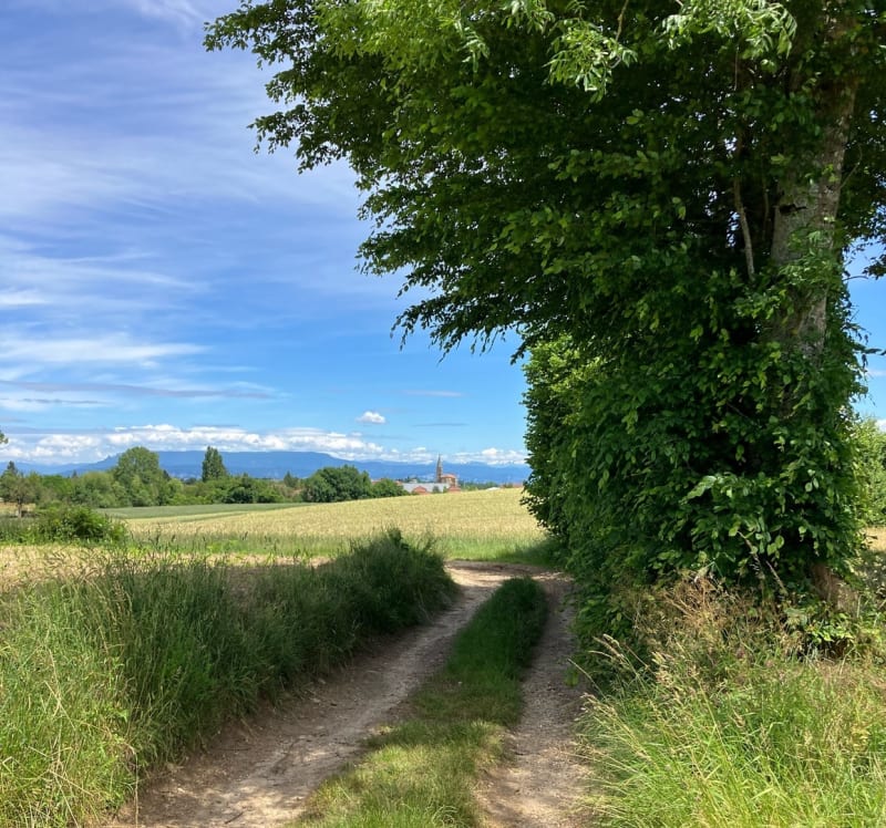 Rando sportive à Saint-Jean-Soudain - Saint-Jean-de-Soudain
