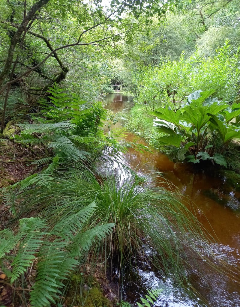 Boucle dans la campagne de Querrien - Querrien
