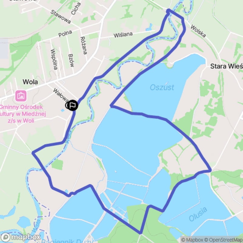 Spacer w kierunku Woli o dystansie 7,6 km i poziomie trudności łatwym - Wola