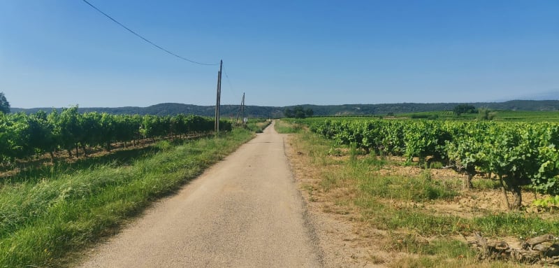 Balade sur Via Ardèche - Berrias-et-Casteljau