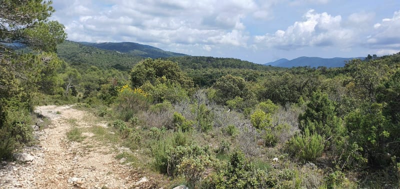 De Cuges aux sources du Latay - Cuges-les-Pins