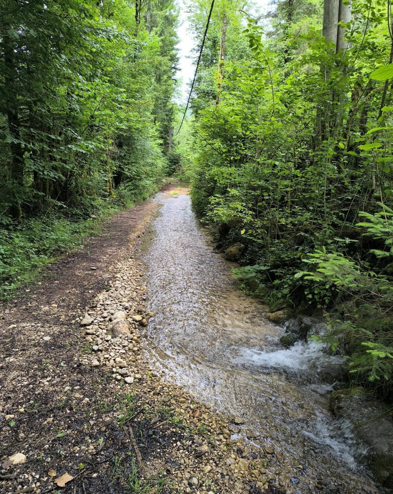 Cascade du moulin - Vulvoz