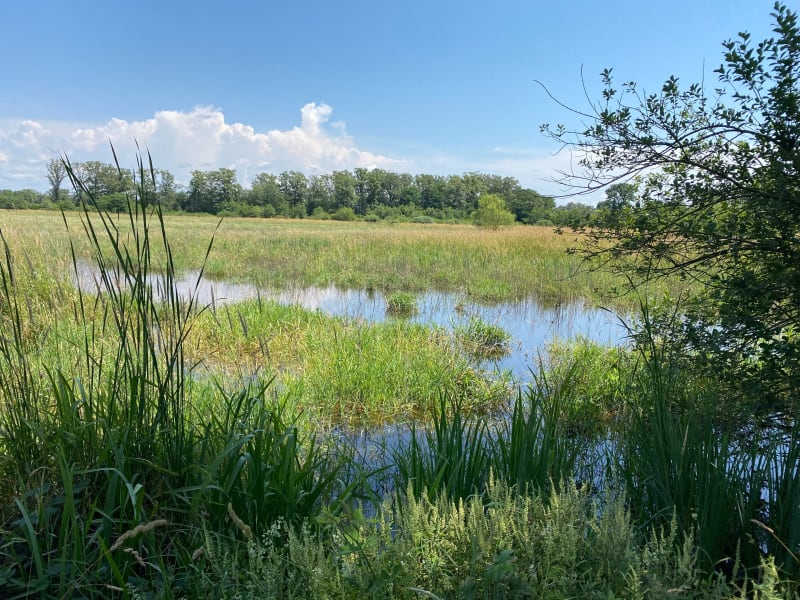 De Vonnas à Condessiat - Saint-Julien-sur-Veyle