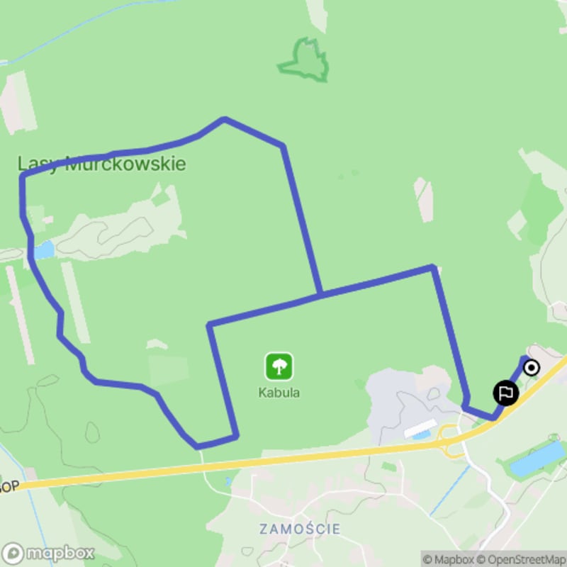 Ścieżką przez Lędziny na trudnym terenie (11,5 km) - Lędziny
