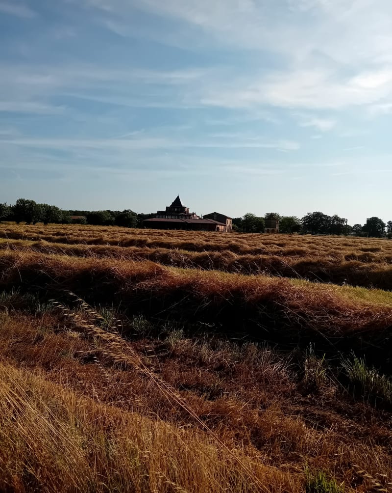 Tour de Larra Nord - Larra