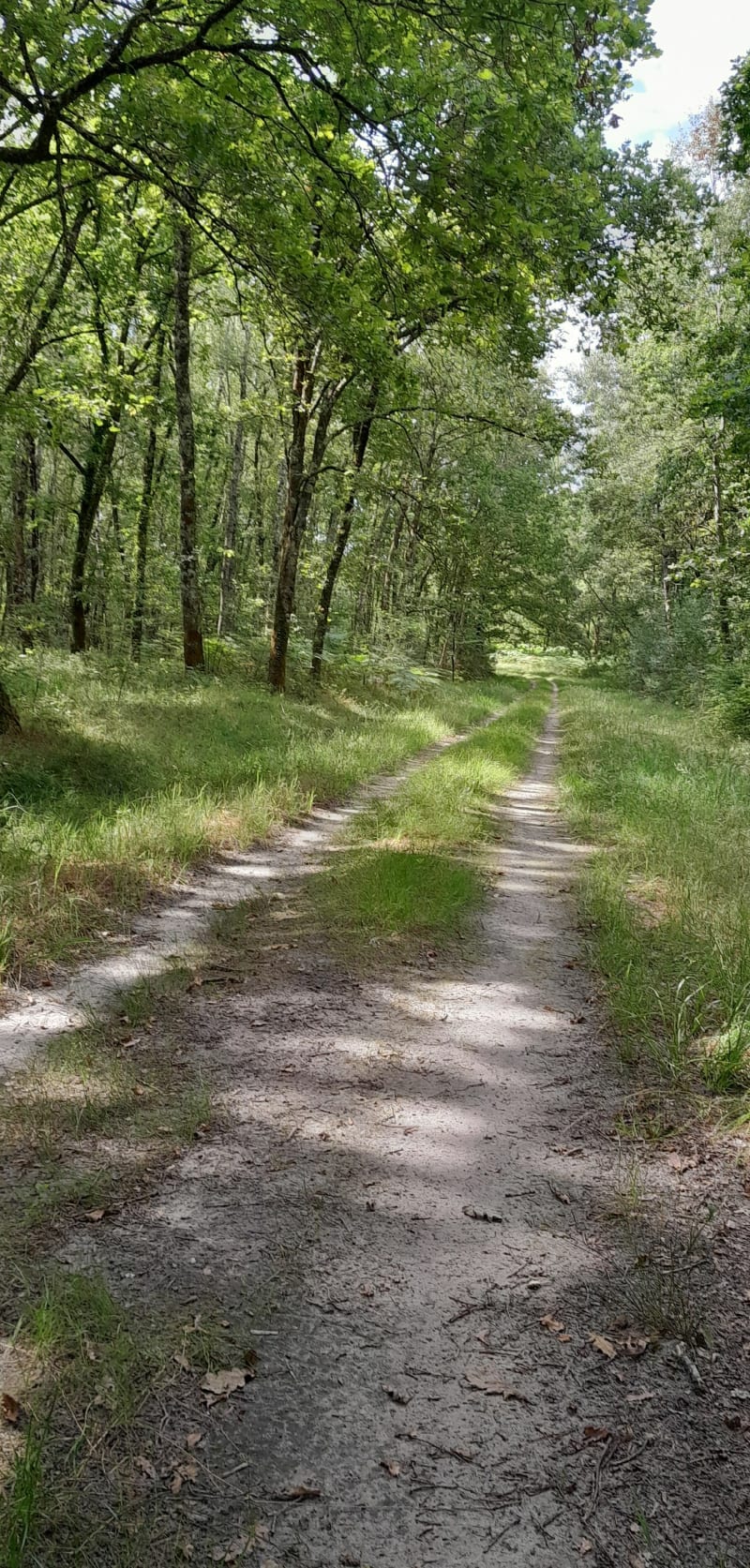 Méric pistes forestières - Saint-Yzan-de-Soudiac