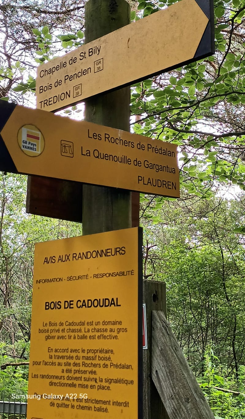 De la chapelle Saint-Bily à la Quenouille de Gargantua - Plaudren