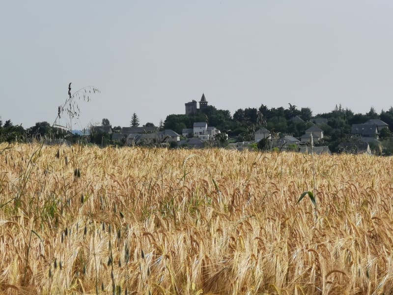 Autour de Sainte-Radegonde - Sainte-Radegonde