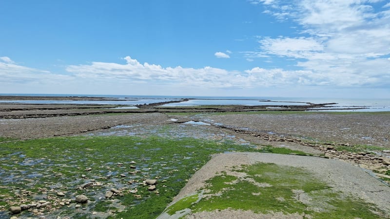 Sud île de Ré - La Flotte