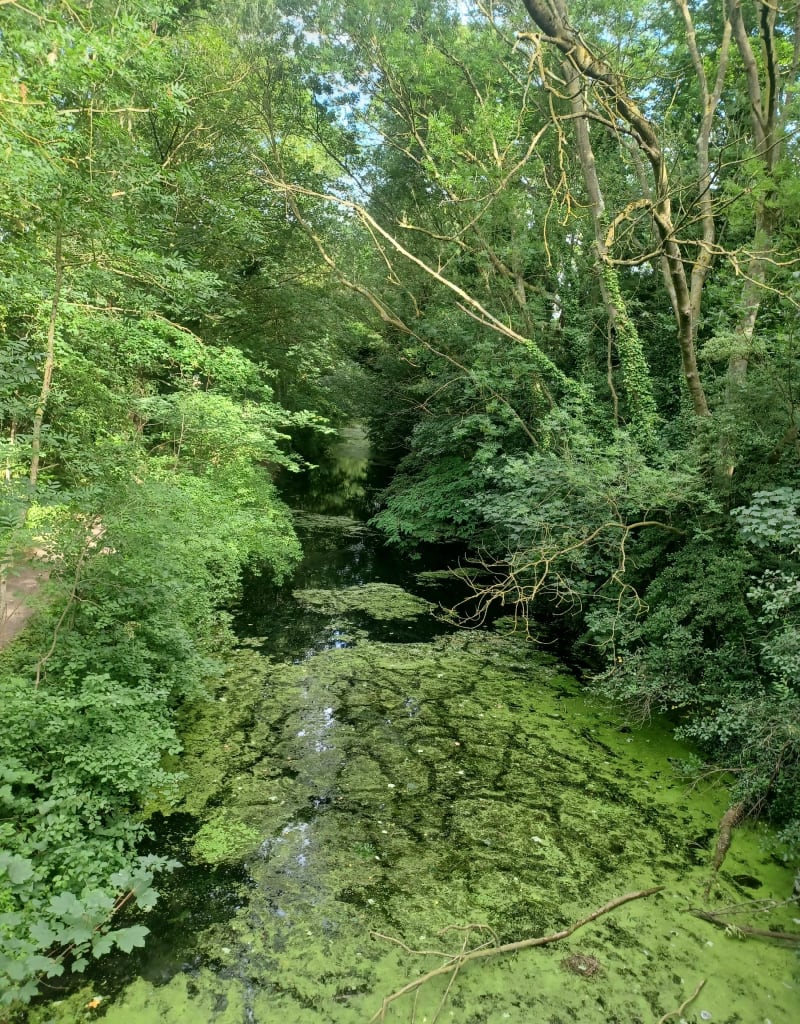 Balade en espaces naturels autour de Lille métropole - Houplin-Ancoisne