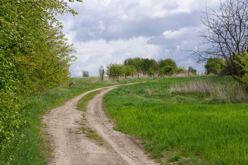 Maciejowa Przysłop – wyjątkowa polana w Beskidach Zachodnich - Olszówka