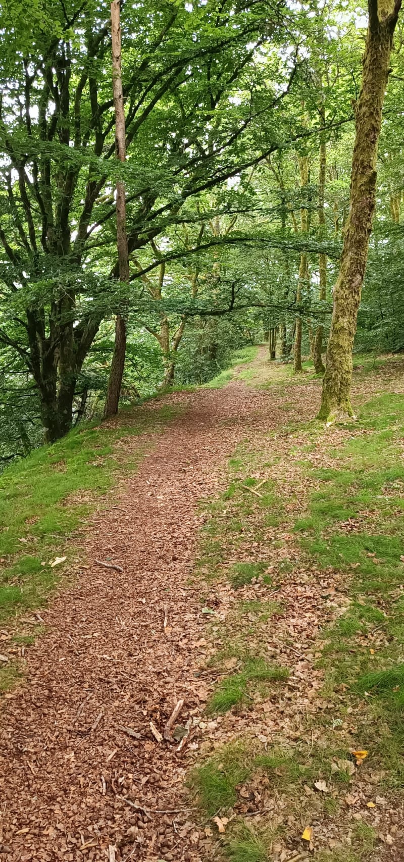Rando Vauveix - Anse de Châteaucourt - Royère-de-Vassivière