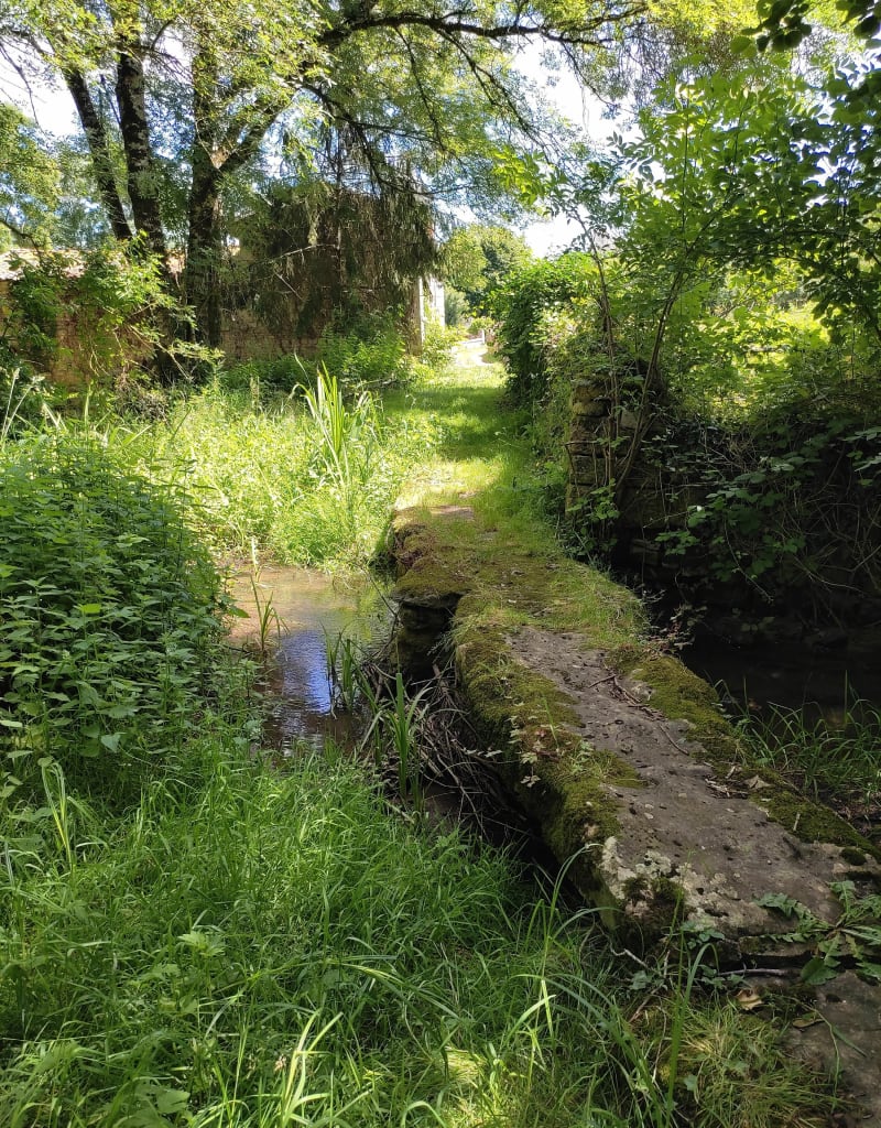 La Belle : entre passerelles et lavoirs - Celles-sur-Belle