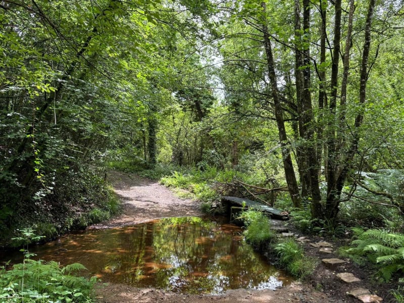 Circuit des 3 bois - Pleyber-Christ