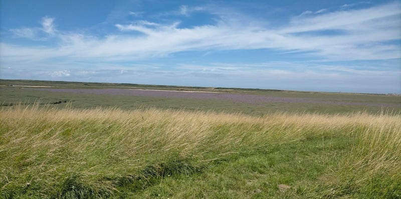 Chenal Escardines Canotte Gravelines - Saint-Folquin
