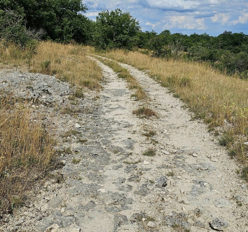 Rando au départ Montaigu de Quercy - Montaigu-de-Quercy