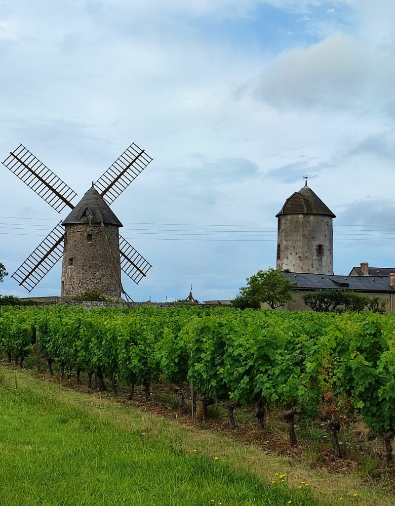 De Rochefort sur Loire à Chalonnes. - Rochefort-sur-Loire