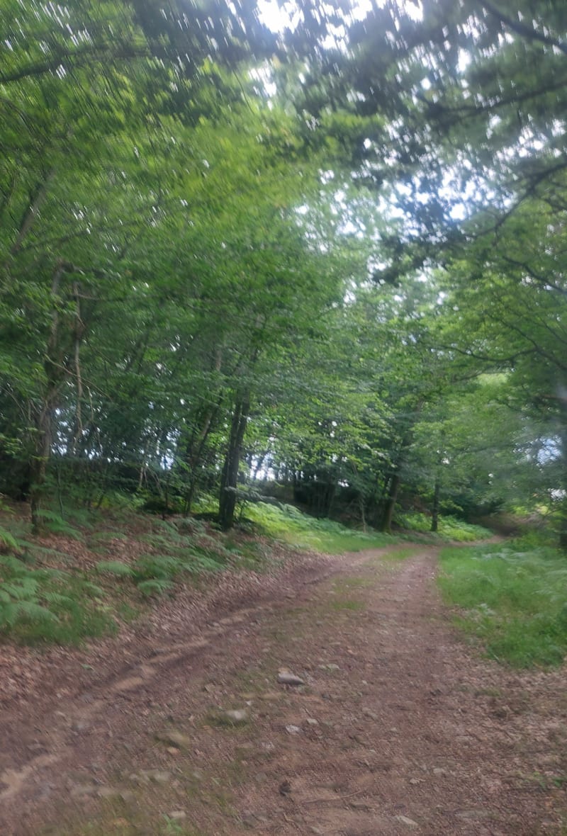 Rando autour de Marcenod - Marcenod