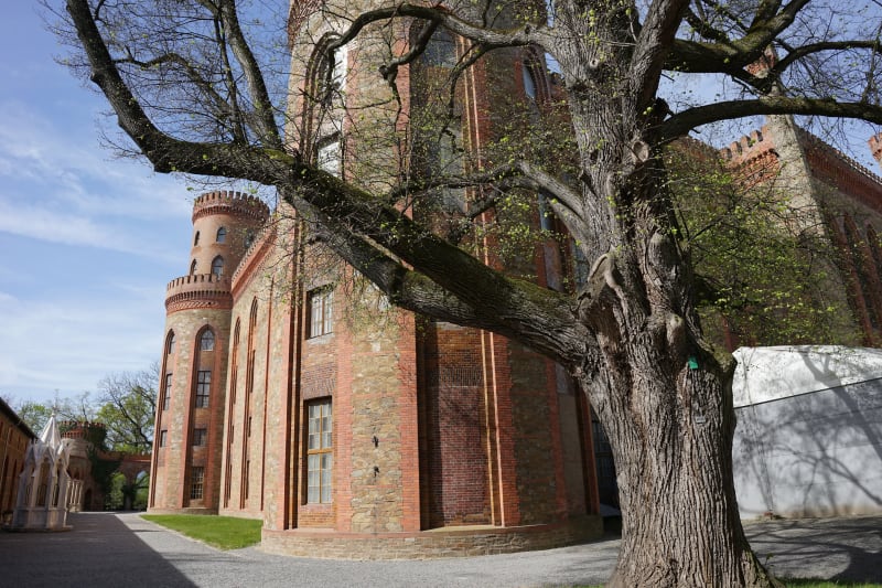 Kamieniec Zbąkowicki Zamek- spokojna trasa wokoło neogotyckiego pałacu - Kamieniec Ząbkowicki