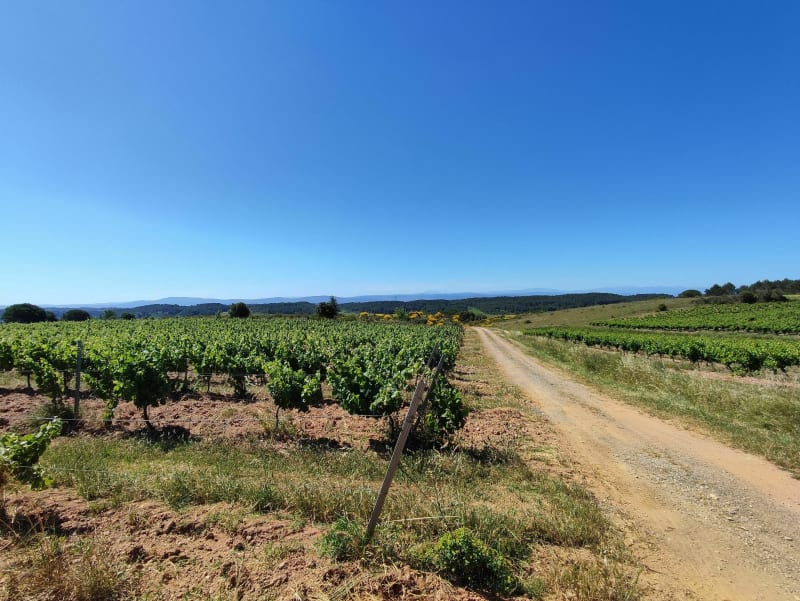 Entre Minervois et Montagne Noire - Villegly