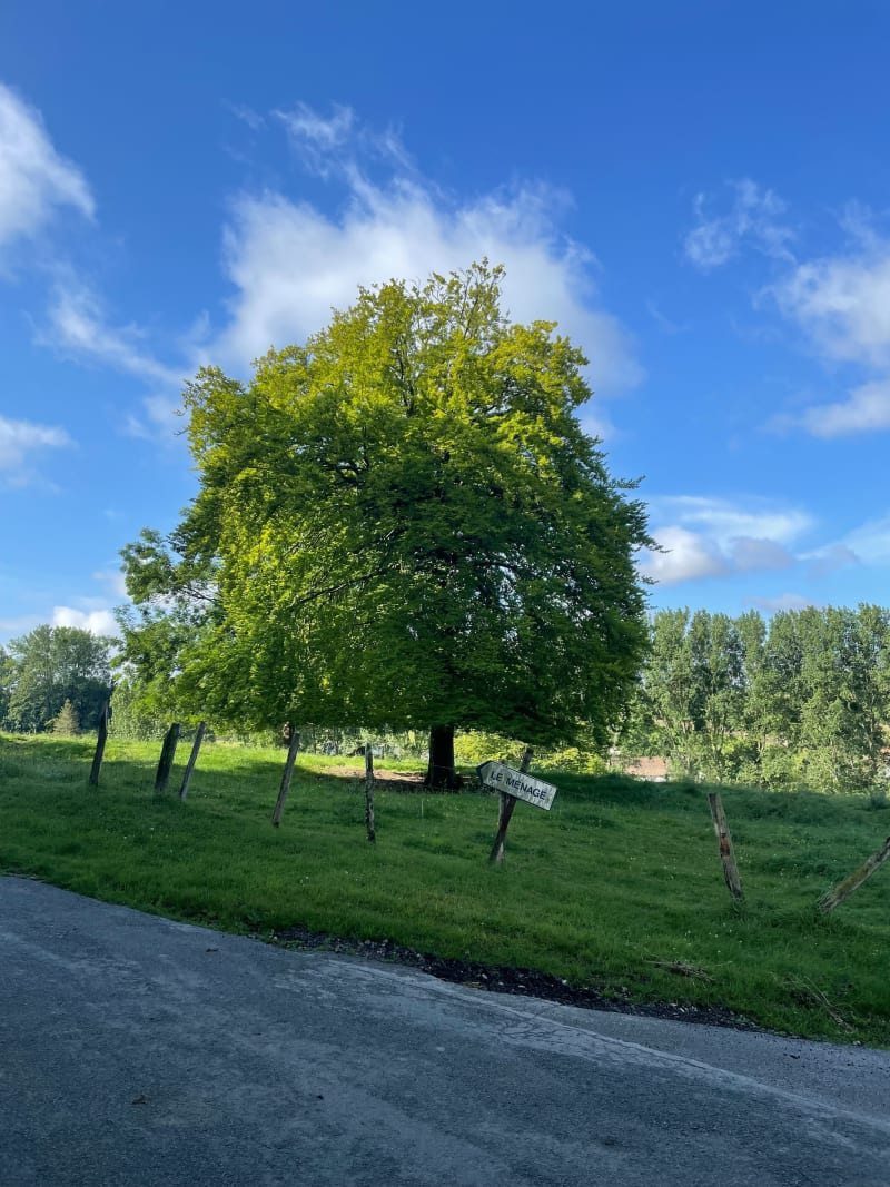 Honlieu et forêt - Montcavrel
