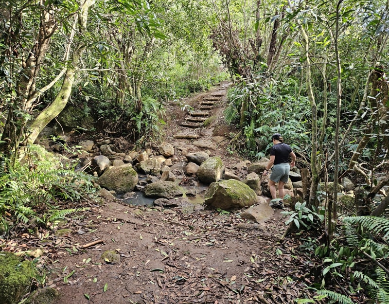 Du chemin des Anglais au domaine Fleurié - Saint-Denis