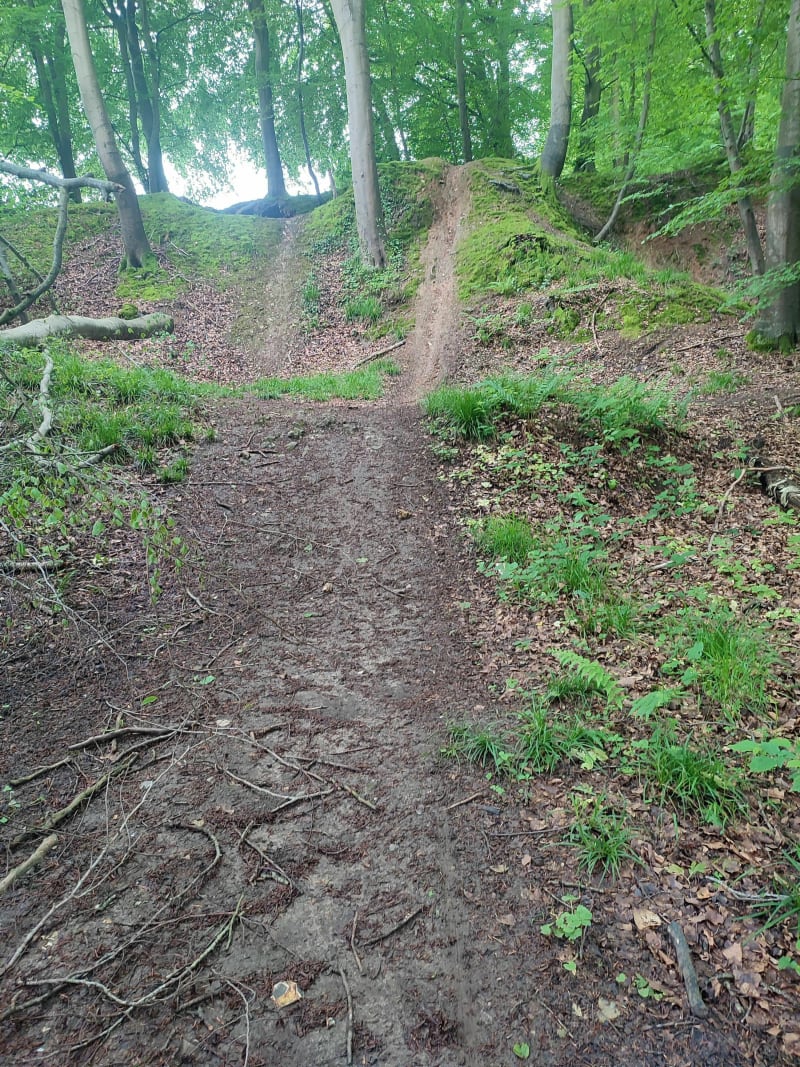 VTT en Forêt d'Arques-la-Bataille - Ancourt
